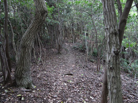 20140426hike (338)